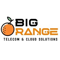 Big Orange Technology LLC