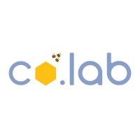 co.lab logo - Similar company to Blazty