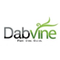 Dabvine