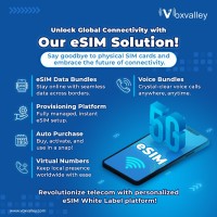 Voxvalley Technologies inc logo - Similar company to Cloudverks | Tuple Tech