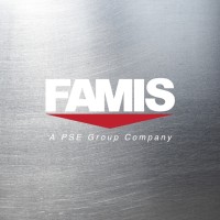FAMIS - A PSE Group Company logo - Similar company to Pse Group