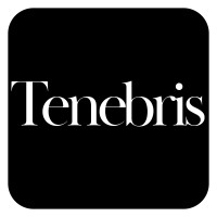 TENEBRIS SECURE LTD logo - Similar company to Freightlink Europe