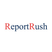 ReportRush logo - Similar company to Pascal Perry Digital Consulting