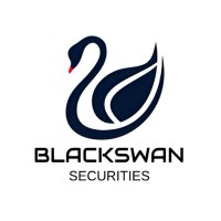 BlackSwan® Securities logo - Similar company to Urban Vista Developers