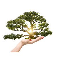 Regenerative Processing Plant, LLC logo - Similar company to Incell