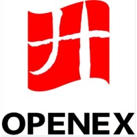 Openex Technologies Ltd. logo - Similar company to Interactive Manufacturing Limited