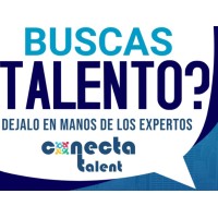 CONECTA TALENT logo - Similar company to Conectatalento