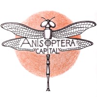 Anisoptera Capital logo - Similar company to Quantcierge