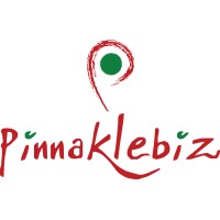 PinnakleBiz logo - Similar company to Pinnakle Group