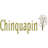Chinquapin