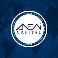 Aneni Capital logo - Similar company to 4Tech Capital Ventures