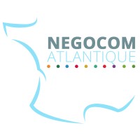 Negocom Atlantique SARL logo - Similar company to Ingebim.It