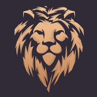 UBBS Capital Panama S.A. logo - Similar company to Opulence Private