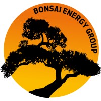 Bonsai Energy Group logo - Similar company to Zing Drone Solutions