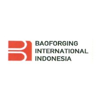 Baoforging International Indonesia logo - Similar company to Suzhou Baoforging Co.,Ltd