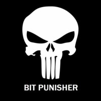 BitPunisher logo - Similar company to Blokforge