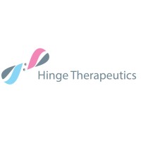 Hinge Therapeutics logo - Similar company to Infinitebio