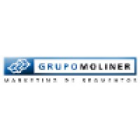 Grupo Moliner Consultores