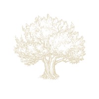 BOYANA GROUP logo - Similar company to Maier Group