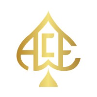 Ace Management Group Inc. logo - Similar company to Abstract Management Group