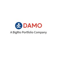 Damo Consulting Inc. logo - Similar company to Bigrio