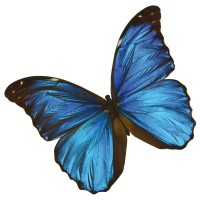 PAINT-STYLING AG logo - Similar company to Stratum Coating Solutions Ag