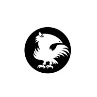 WhiteCrow Tech logo - Similar company to Finmetrics