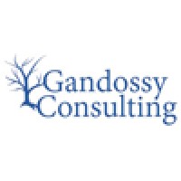 Gandossy Consulting logo - Similar company to Sarndipity Solutions
