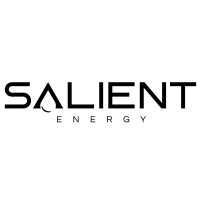 Salient Energy logo - Similar company to Soni Youth Connect (Syc)