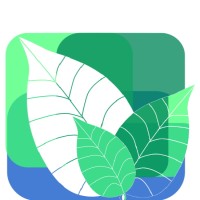 BIOMADETECH International Ltd. logo - Similar company to Editing 360