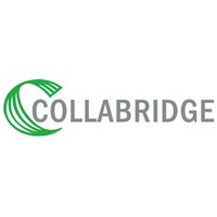 Collabridge Private Limited logo - Similar company to Hkb Development Pvt. Ltd.