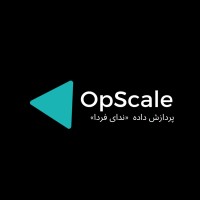 OpScale logo - Similar company to Botify.Ai