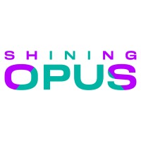 Shining Opus LLC logo - Similar company to Analyze