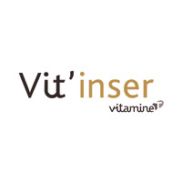 VIT'INSER logo - Similar company to Janus Intérim