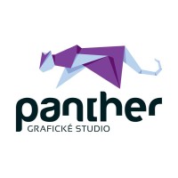 PANTHER Studio logo - Similar company to Apexiosoft