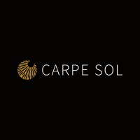 CARPE SOL – Immobilien logo - Similar company to Befeni Gmbh