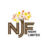 NJF Nidhi Limited logo - Similar company to San German Móveis