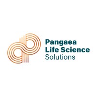 Pangaea (PSi) logo - Similar company to Issi - Integration Solution Services Inc.