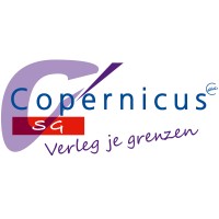 Copernicus SG logo - Similar company to Valuepro Business Valuators