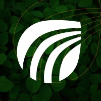 Foco Agronegócios logo - Similar company to Nortesul Agro