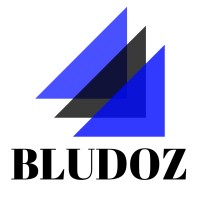 BluDoz Digital Marketing logo - Similar company to Wearedevelopers