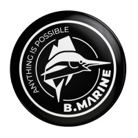 B.MARINE logo - Similar company to Sylk