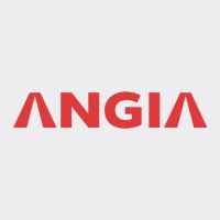 An Gia Group logo - Similar company to Nam Long Group - Nlg