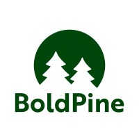 BoldPine logo - Similar company to Mintwave