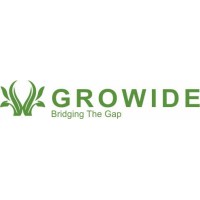 Growidefinserve logo - Similar company to Indoscie Technologies