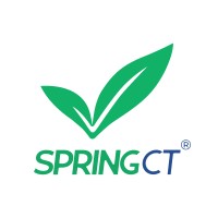 SpringCT (Spring Computing Technologies) logo - Similar company to Amc Bridge, Inc.