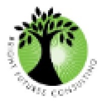 Bright Futures Consulting