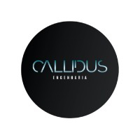 Callidusengenharia logo - Similar company to Dimetec Bv