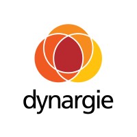 Dynargie México logo - Similar company to Dynargie Switzerland