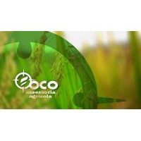 FOCO ASSESSORIA AGRÍCOLA logo - Similar company to Acrimat